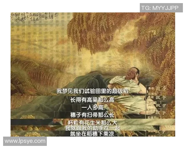 从乡村小子到绿茵场上的闪耀明星的奋斗故事 从乡村小子到绿茵场上的闪耀明星的奋斗故事