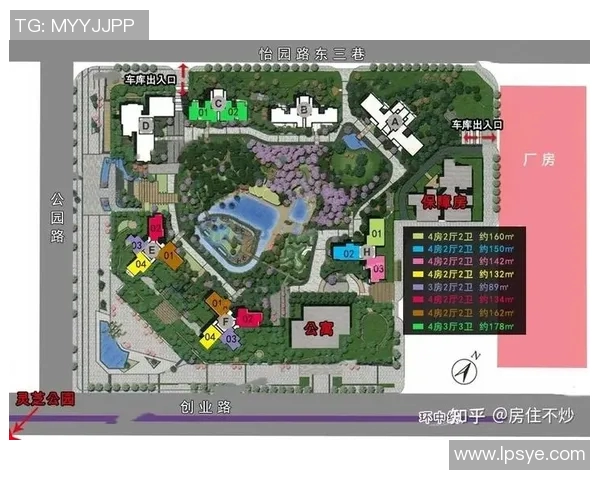 深圳乒乓球队的速度之美与技术探秘全景解析